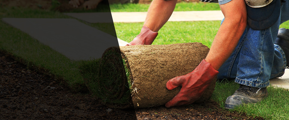 Millersville Landscapers